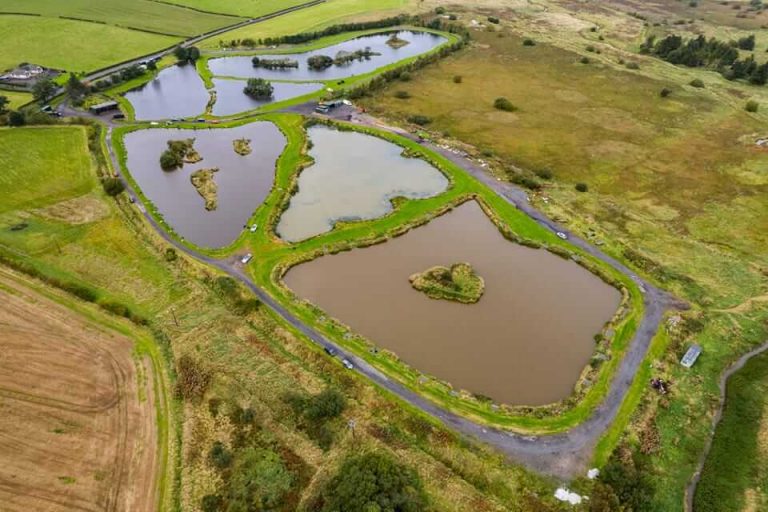 Tarbolton Mixed Coarse Pond