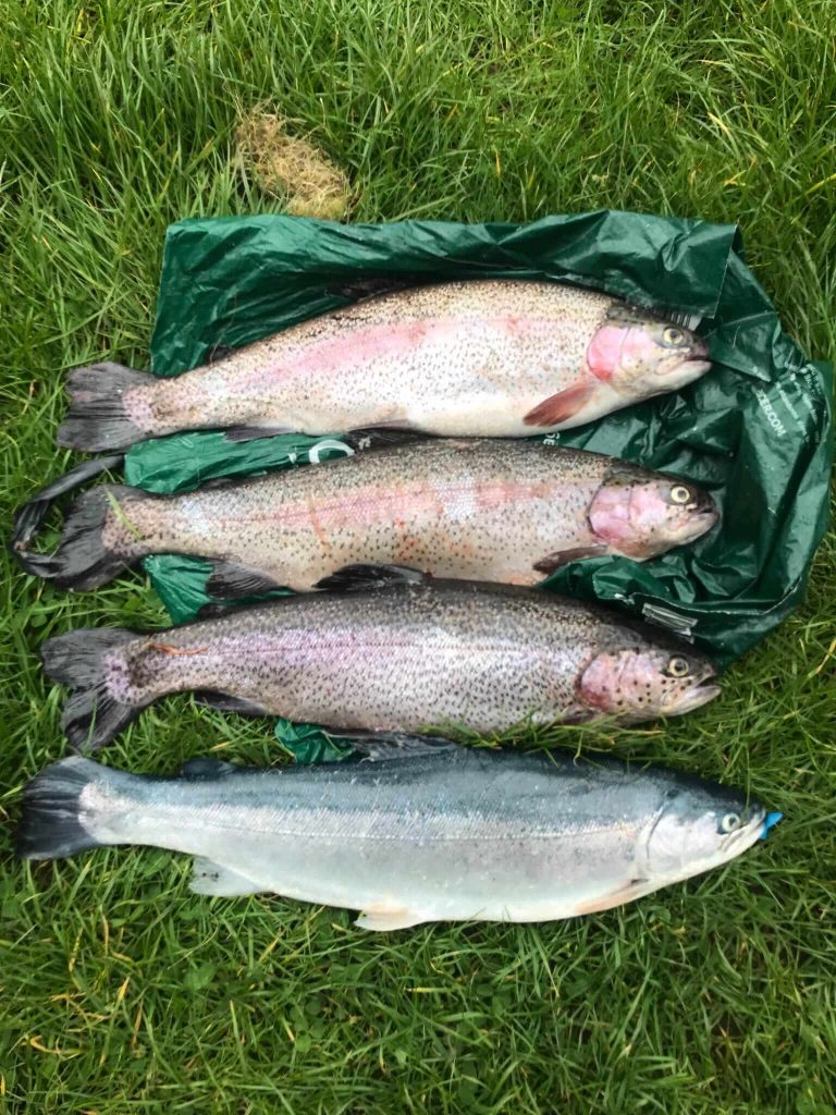 Burns Trout Fishery